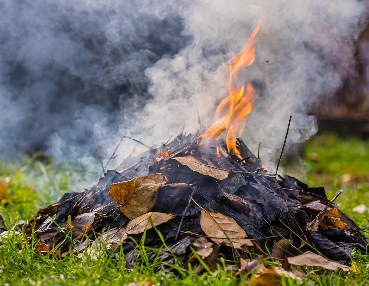 спалювання сухої трави та листя