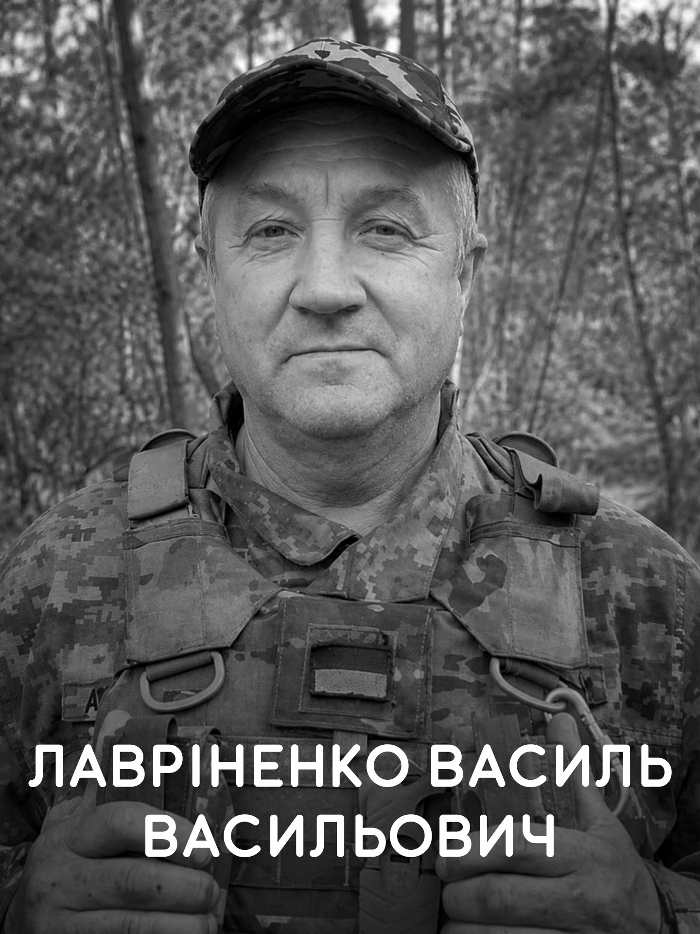 Лавріненко Василь Васильович